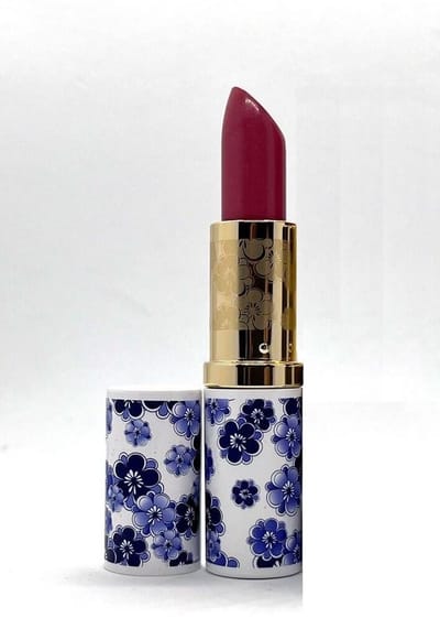 Estée Lauder Limited Edition Lipstick_img_1