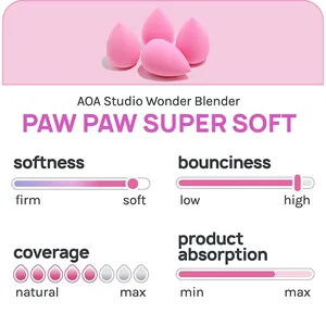 AOA Studio - Paw Paw Plush Blush Microfiber Wonder Blender (6 Pcs Set) - Shade 2